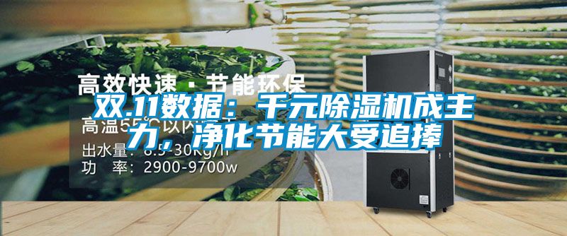 雙.11數據:千元除濕機成主力,凈化節能大受追捧