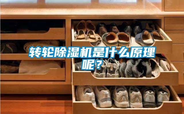 轉(zhuǎn)輪除濕機(jī)是什么原理呢?