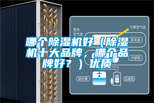 哪個除濕機好(除濕機十大品牌,哪個品牌好?)優質