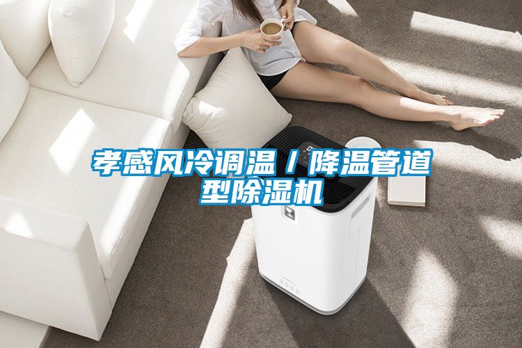 孝感風(fēng)冷調(diào)溫/降溫管道型除濕機(jī)