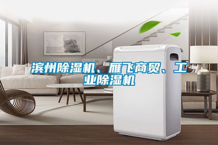 濱州除濕機、雁飛商貿(mào)、工業(yè)除濕機