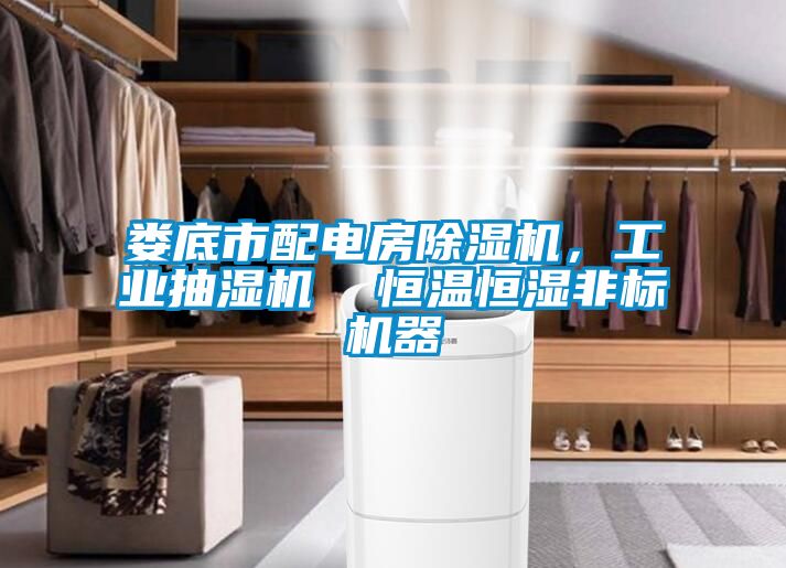 婁底市配電房除濕機,工業抽濕機 恒溫恒濕非標機器