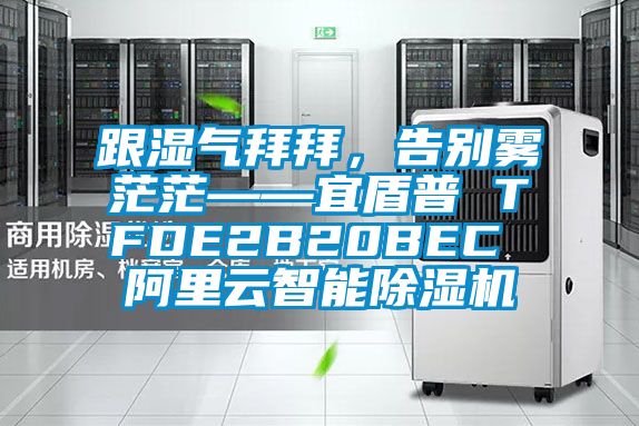 跟濕氣拜拜，告別霧茫?！硕芷?TFDE2B20BEC 阿里云智能除濕機