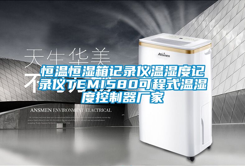 恒溫恒濕箱記錄儀溫濕度記錄儀TEMI580可程式溫濕度控制器廠(chǎng)家