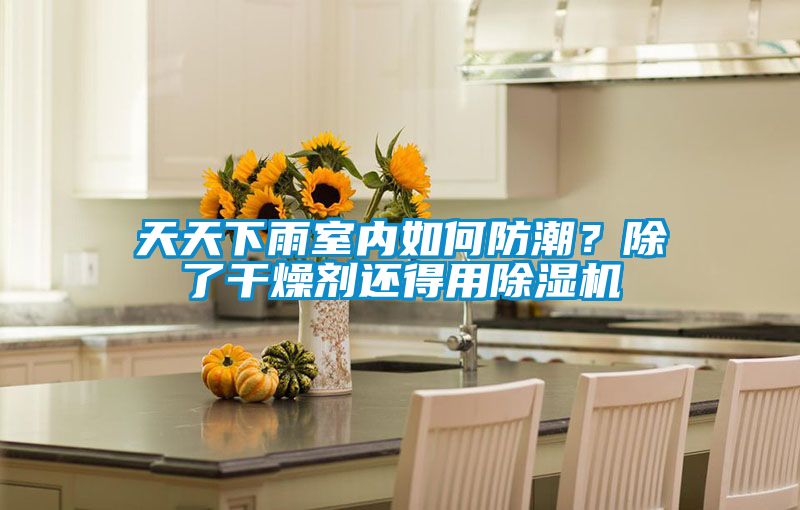 天天下雨室內如何防潮？除了干燥劑還得用除濕機