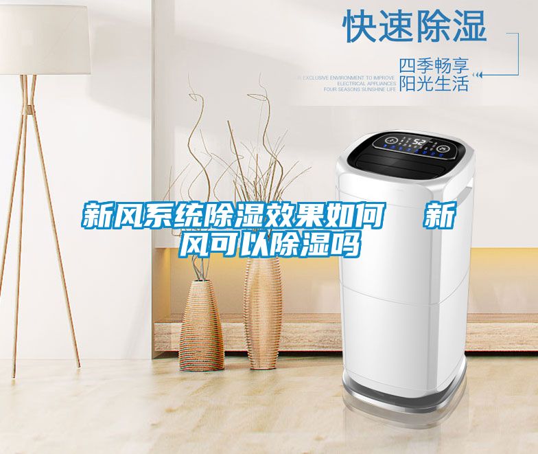 新風系統除濕效果如何 新風可以除濕嗎