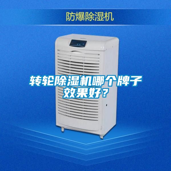 轉輪除濕機哪個牌子效果好？