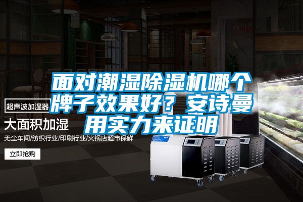 面對潮濕除濕機(jī)哪個牌子效果好?安詩曼用實力來證明