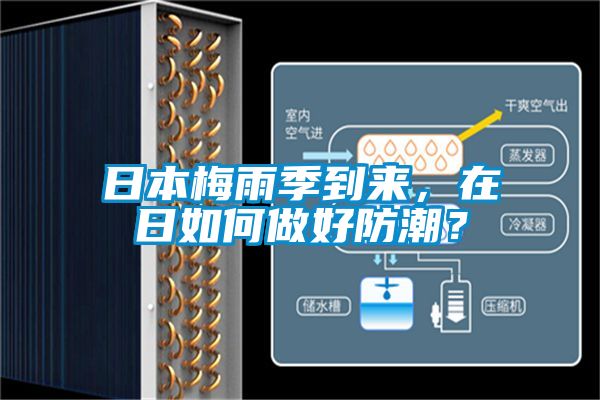 日本梅雨季到來，在日如何做好防潮？