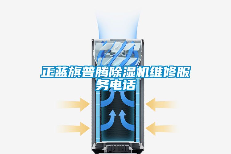 正藍旗普騰除濕機維修服務電話