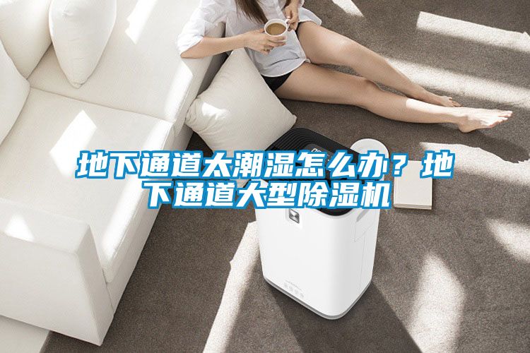 地下通道太潮濕怎么辦？地下通道大型除濕機(jī)