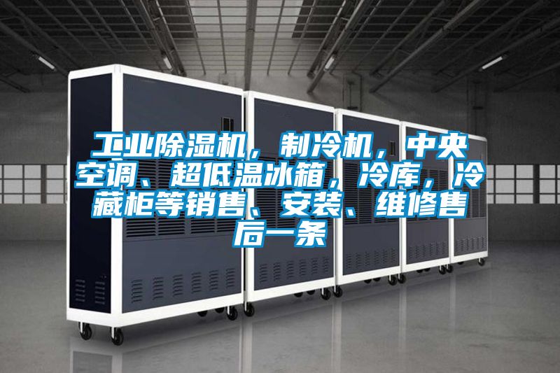 工業除濕機，制冷機，中央空調、超低溫冰箱，冷庫，冷藏柜等銷售、安裝、維修售后一條