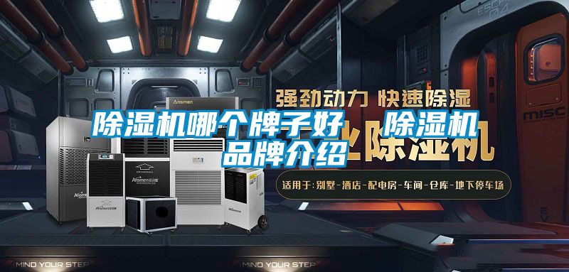 除濕機哪個牌子好 除濕機品牌介紹