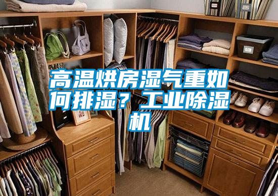 高溫烘房濕氣重如何排濕？工業(yè)除濕機(jī)