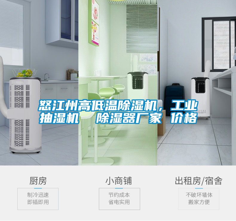 怒江州高低溫除濕機(jī)，工業(yè)抽濕機(jī)  除濕器廠家 價格