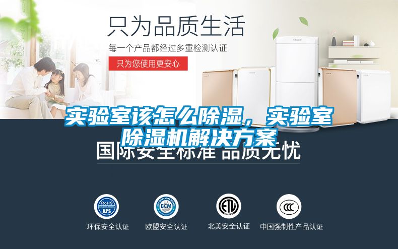 實(shí)驗(yàn)室該怎么除濕,實(shí)驗(yàn)室除濕機(jī)解決方案
