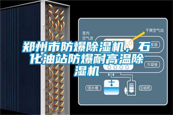 鄭州市防爆除濕機(jī)，石化油站防爆耐高溫除濕機(jī)