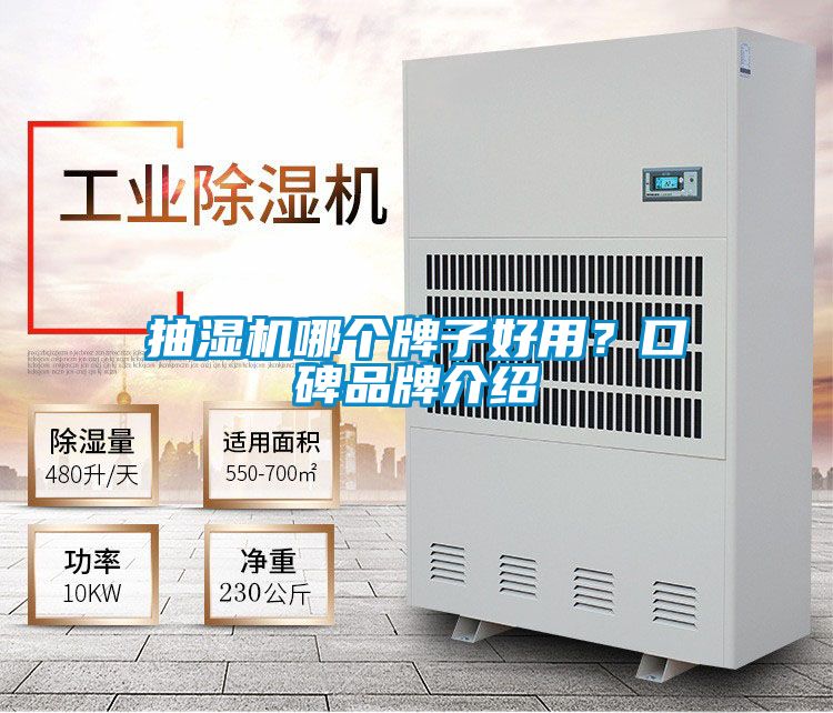 抽濕機哪個牌子好用？口碑品牌介紹