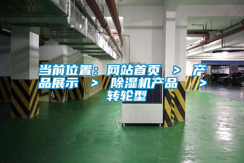 當(dāng)前位置:網(wǎng)站首頁 > 產(chǎn)品展示 > 除濕機(jī)產(chǎn)品 > 轉(zhuǎn)輪型