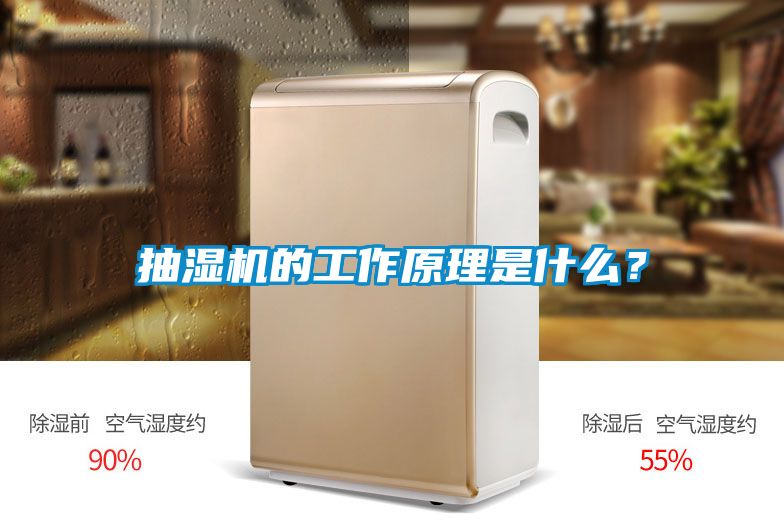抽濕機的工作原理是什么？