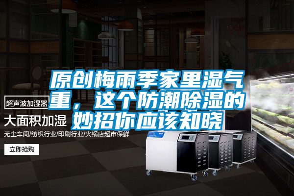 原創(chuàng)梅雨季家里濕氣重,這個防潮除濕的妙招你應(yīng)該知曉